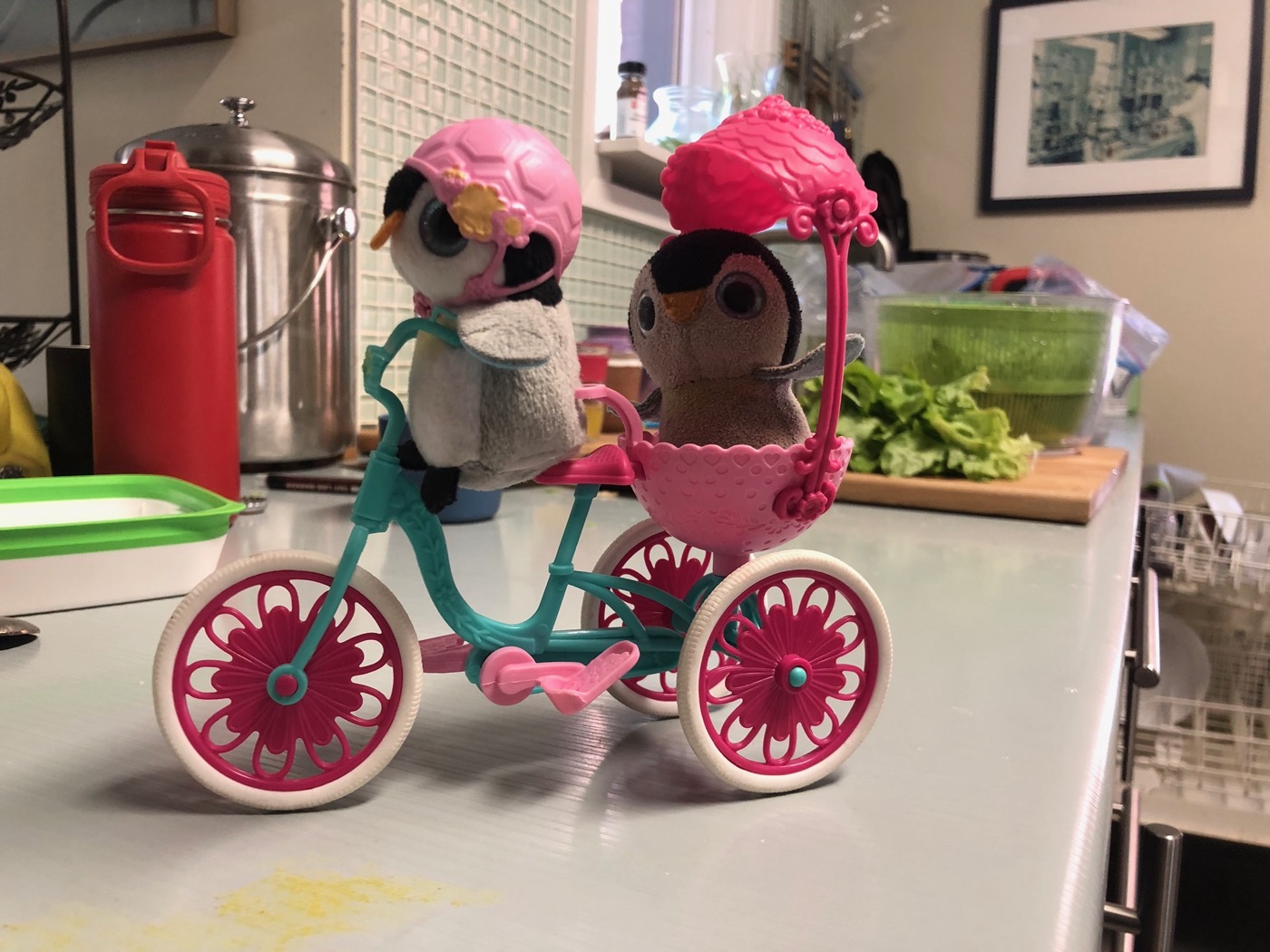 Pengi in a pink helmet riding a toy bike with a friend in the sidecar